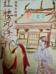 红楼沉浮